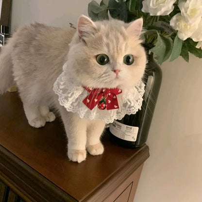Silk Wedding Style Cat & Dog Collar with Bow Tie