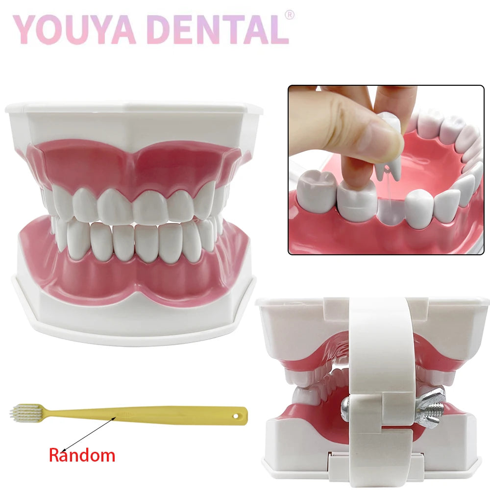 Practical Household Accessory – Dental Brushing Education