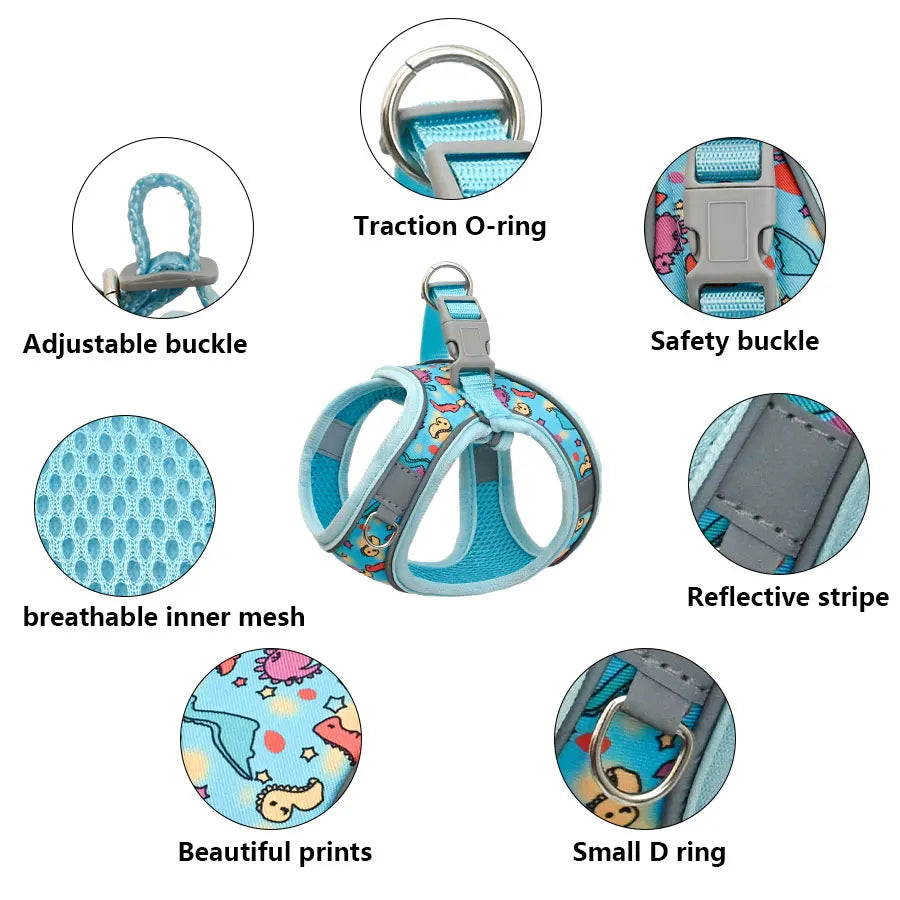 Breathable Mesh Dog Harness & Leash Set