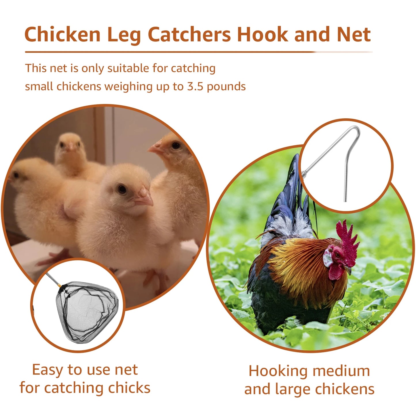 Retractable Chicken Catcher Set – Poultry Leg Hook & Net