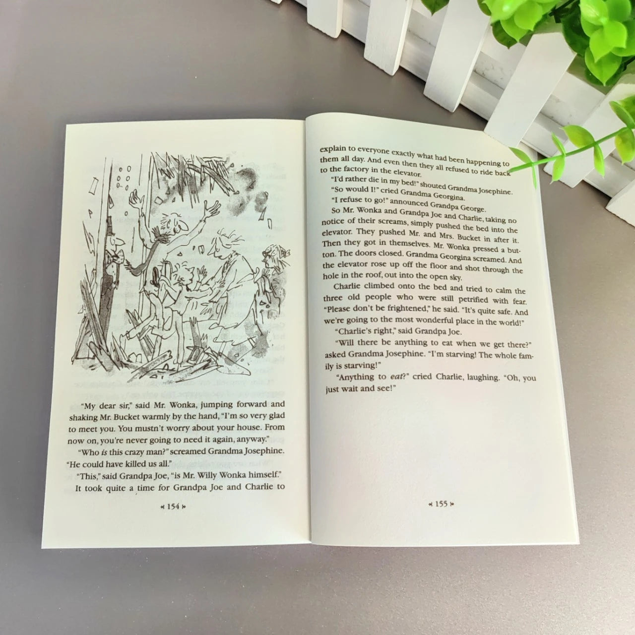 Charlie and the Chocolate Factory Book
