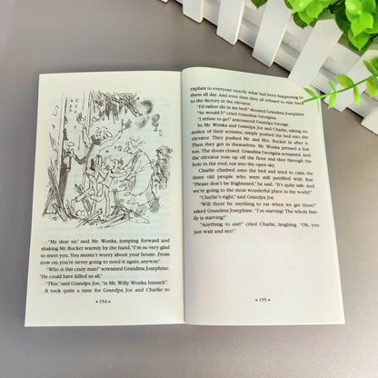 Charlie and the Chocolate Factory Book