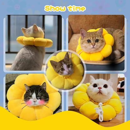 Sunflower Recovery Collar for Cats