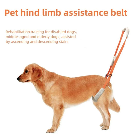Pet Rear Leg Support Lift Harness