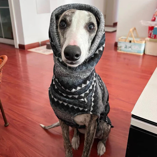 Greyhound Fleece High-Neck Dog Vest