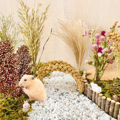Natural Dried Flower Habitat Decor for Small Pets