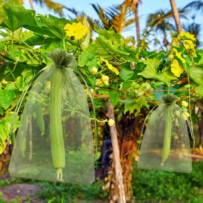 Fruit Protection Grow Bags