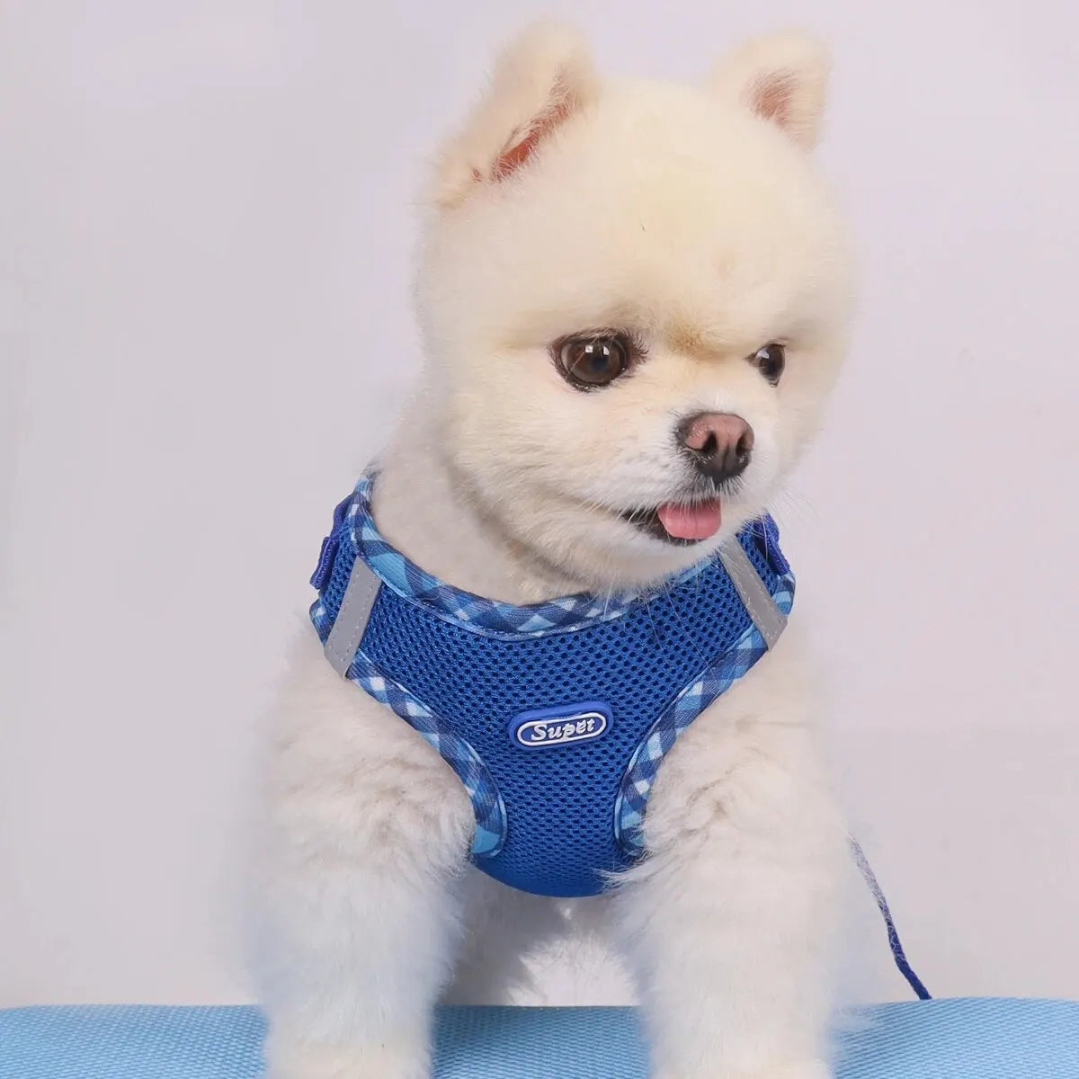 Supet Adjustable Anti-Pull Dog Harness
