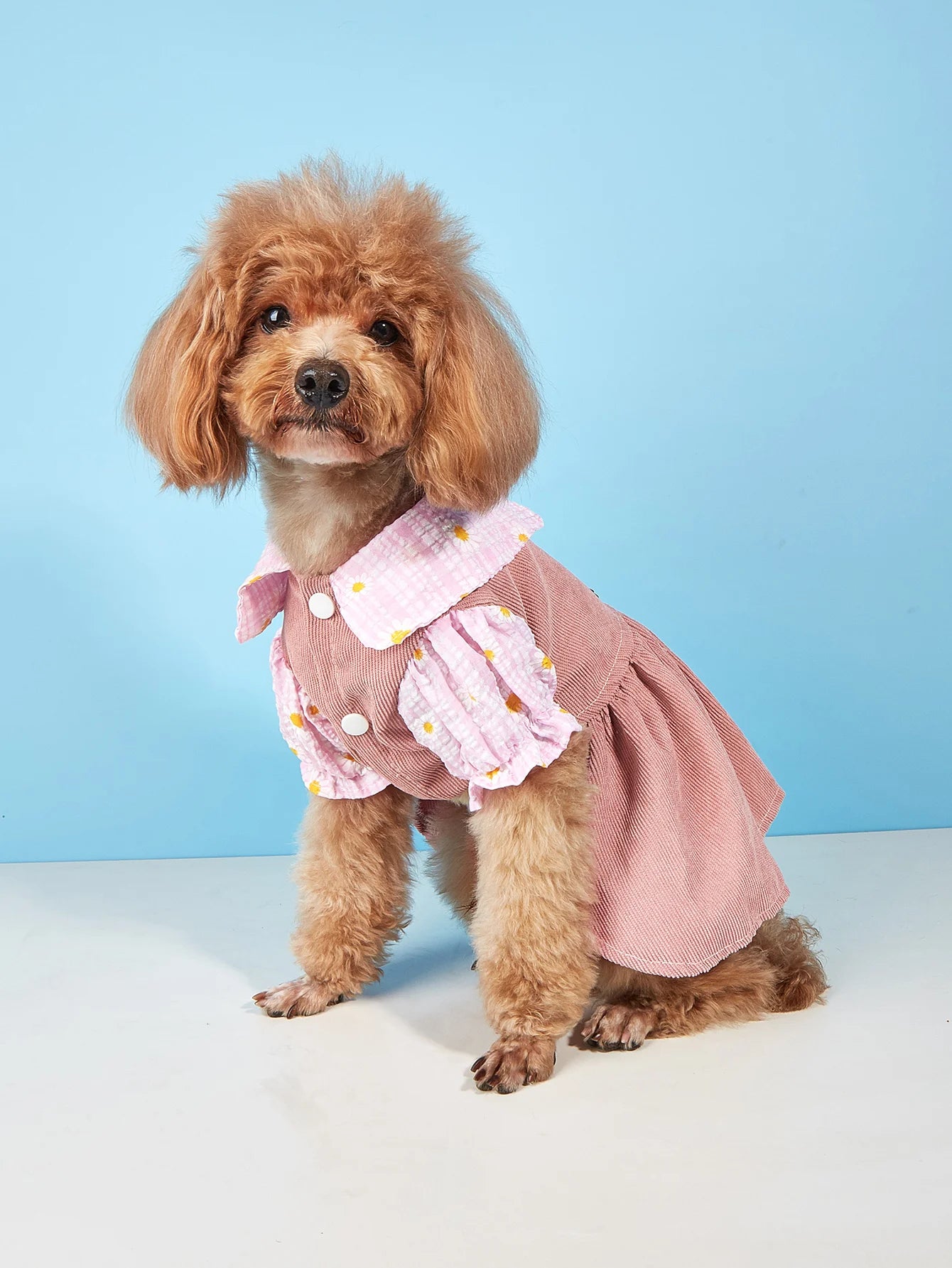 Pet Princess Dress