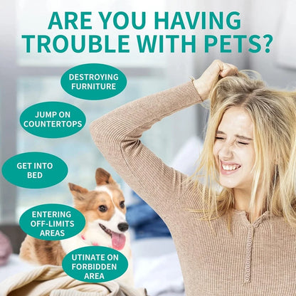 Pet Training Deterrent Mat