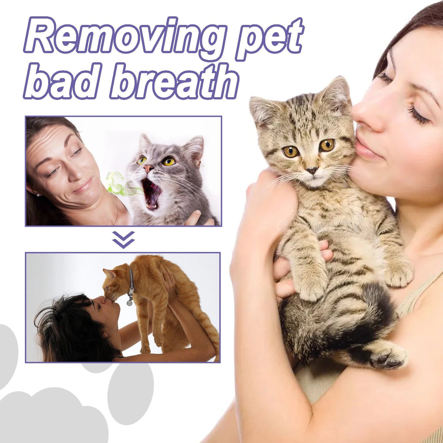 Pet Dental Care Gel Pen for Dogs & Cats