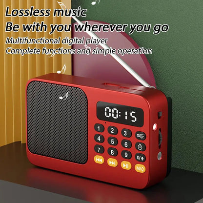 Portable FM Radio & Bluetooth Speaker with LED Light
