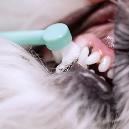 Pet Mini Toothbrush for Dogs & Cats