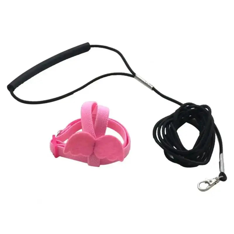 Parrot Training Harness & Anti-Bite Leash Set