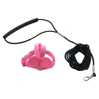 Parrot Training Harness & Anti-Bite Leash Set