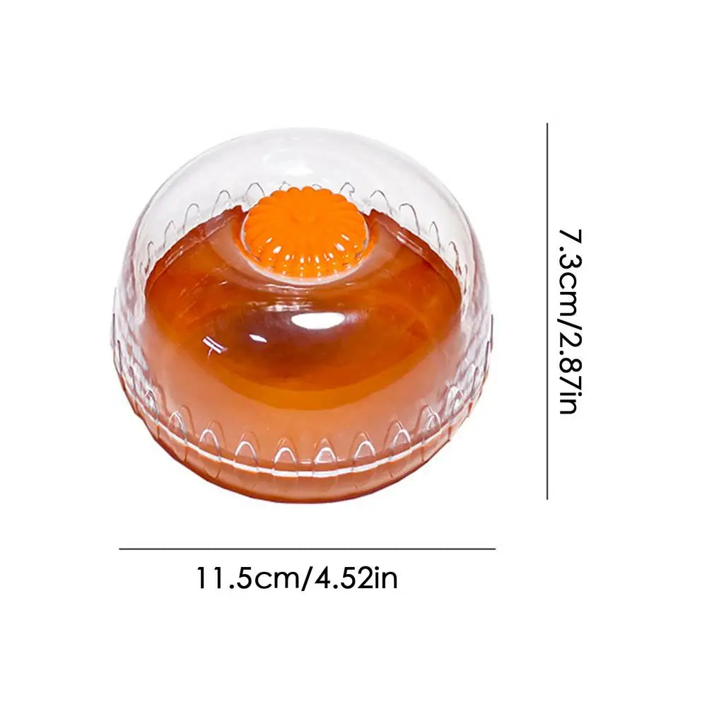 Fruit Preservation Box
