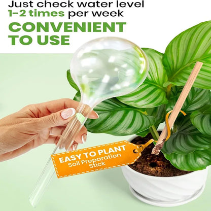 Automatic Plant Watering Bulb