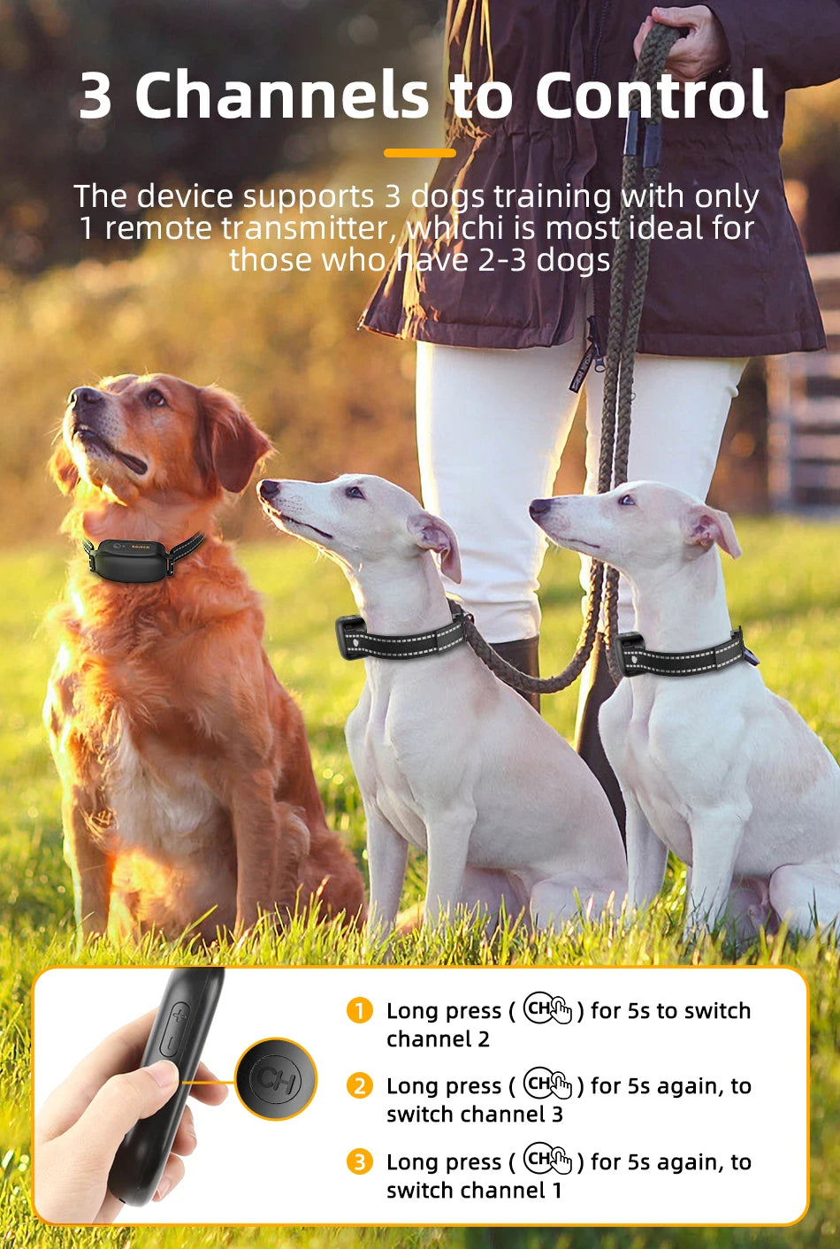 Rechargeable Remote Dog Training Collar