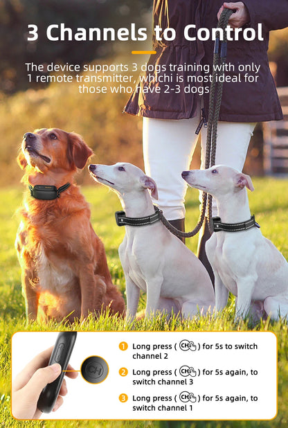 Rechargeable Remote Dog Training Collar