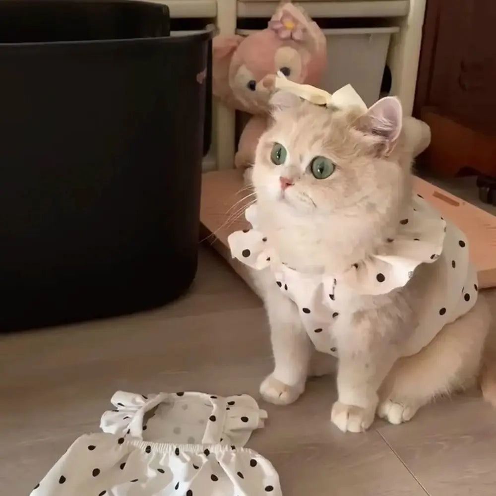 Polka Dot Princess Pet Dress for Cats & Small Dogs