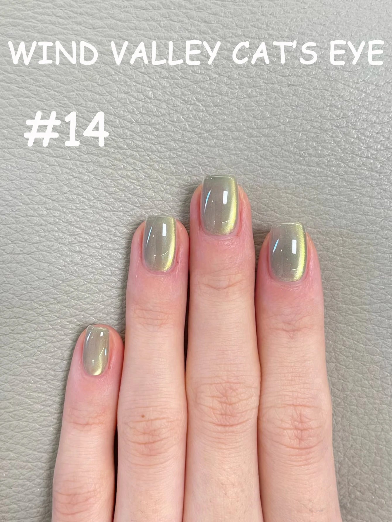 ZH Golden Cat Magnetic Gel Polish