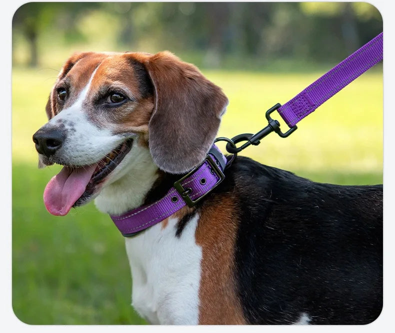 Reflective Padded Dog Collar
