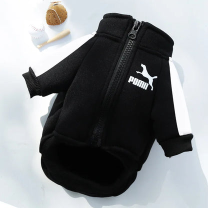 Baseball Dog Jacket – Winter Pet Hoodie for Small Dogs