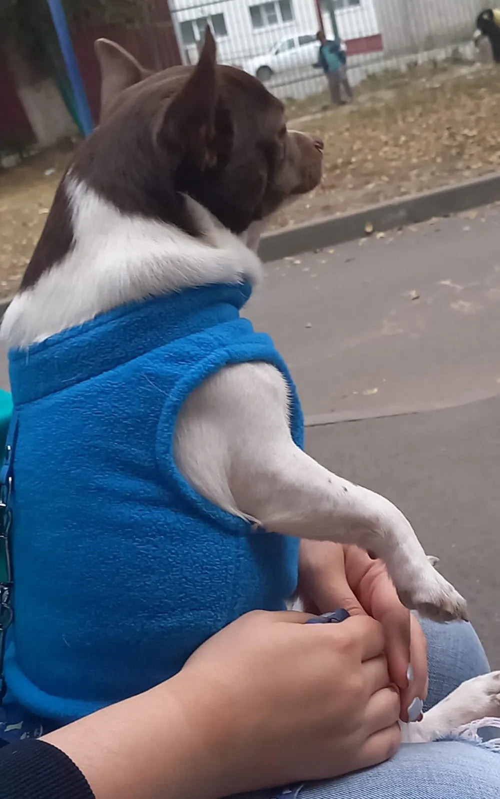 Fleece Dog Vest Jacket