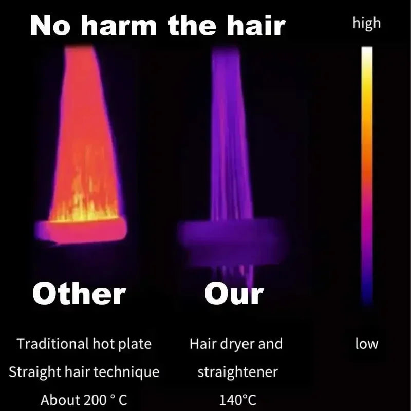 2 in 1 Professional Hair Dryer Straightener