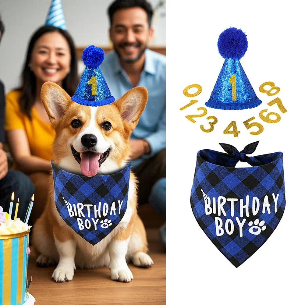 Dog Birthday Party Hat & Bandana Set