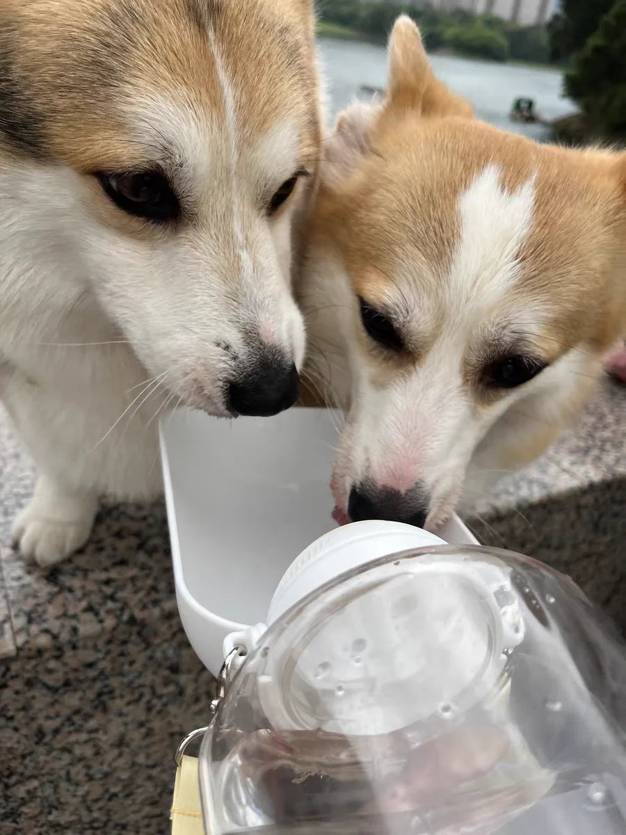 2-in-1 Portable Dog Water Bottle & Food Container