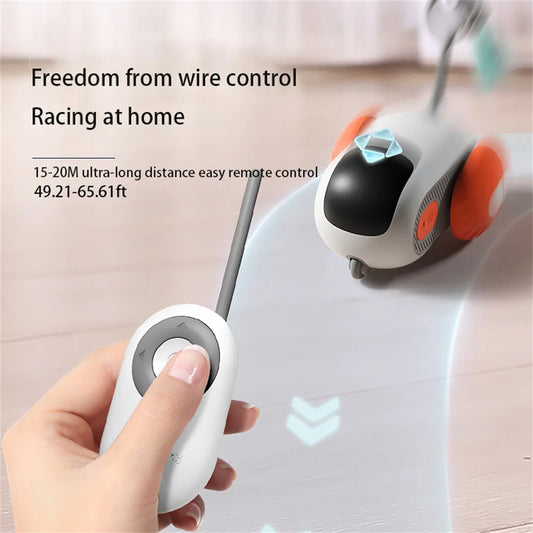 Gravity Sports Car Remote Control Electric Cat Toy