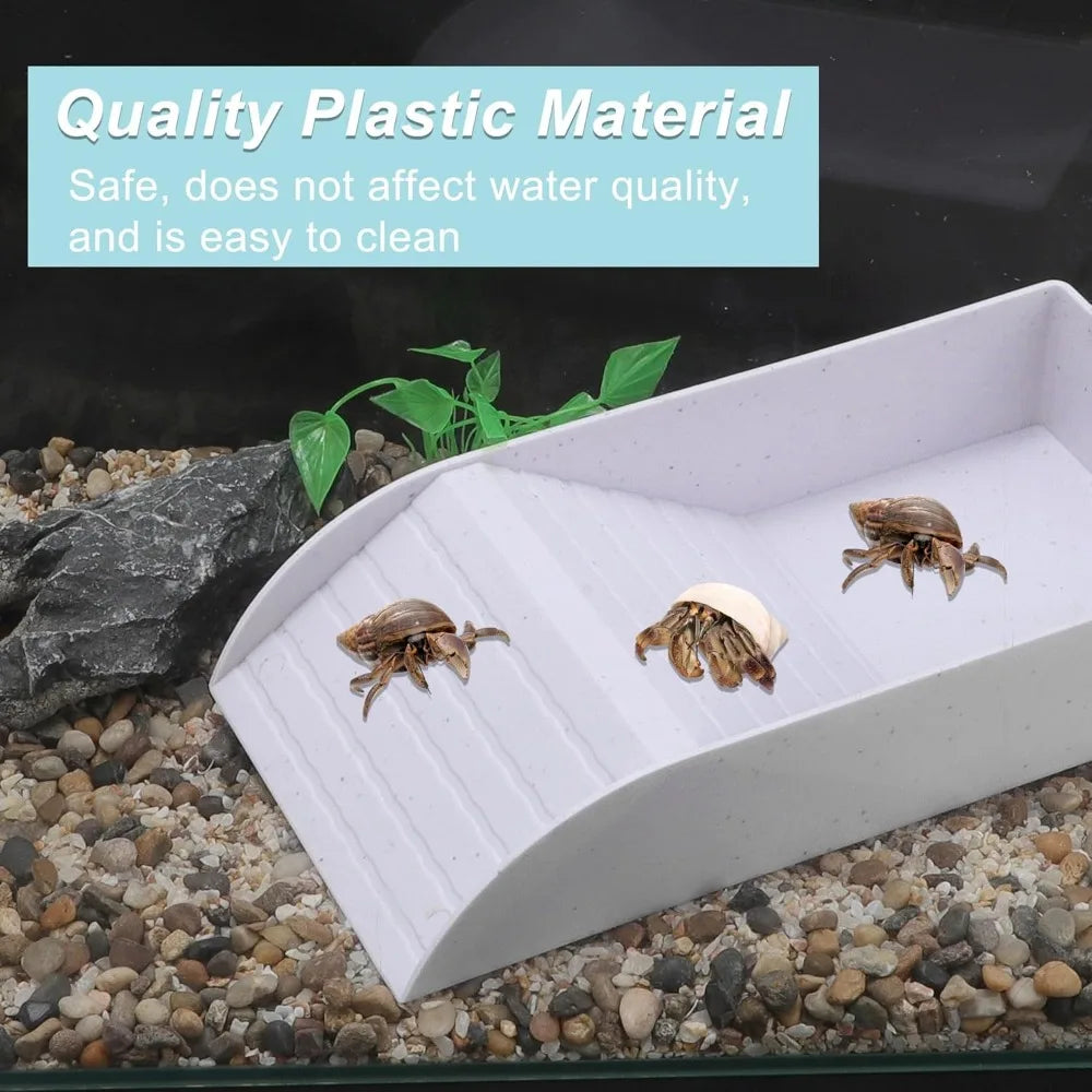 Reptile Bathing Pool with Ramp
