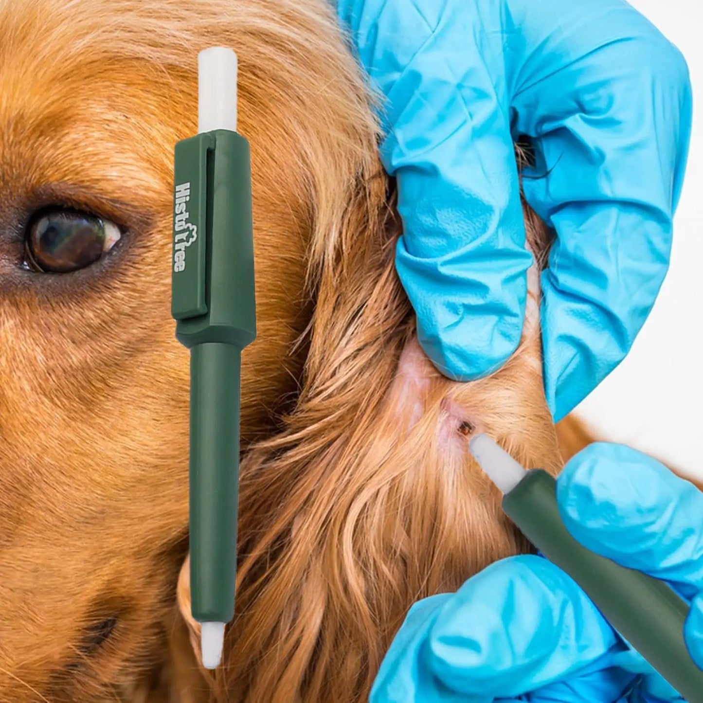 Pet Tick Remover Pen for Dogs, Cats & Humans