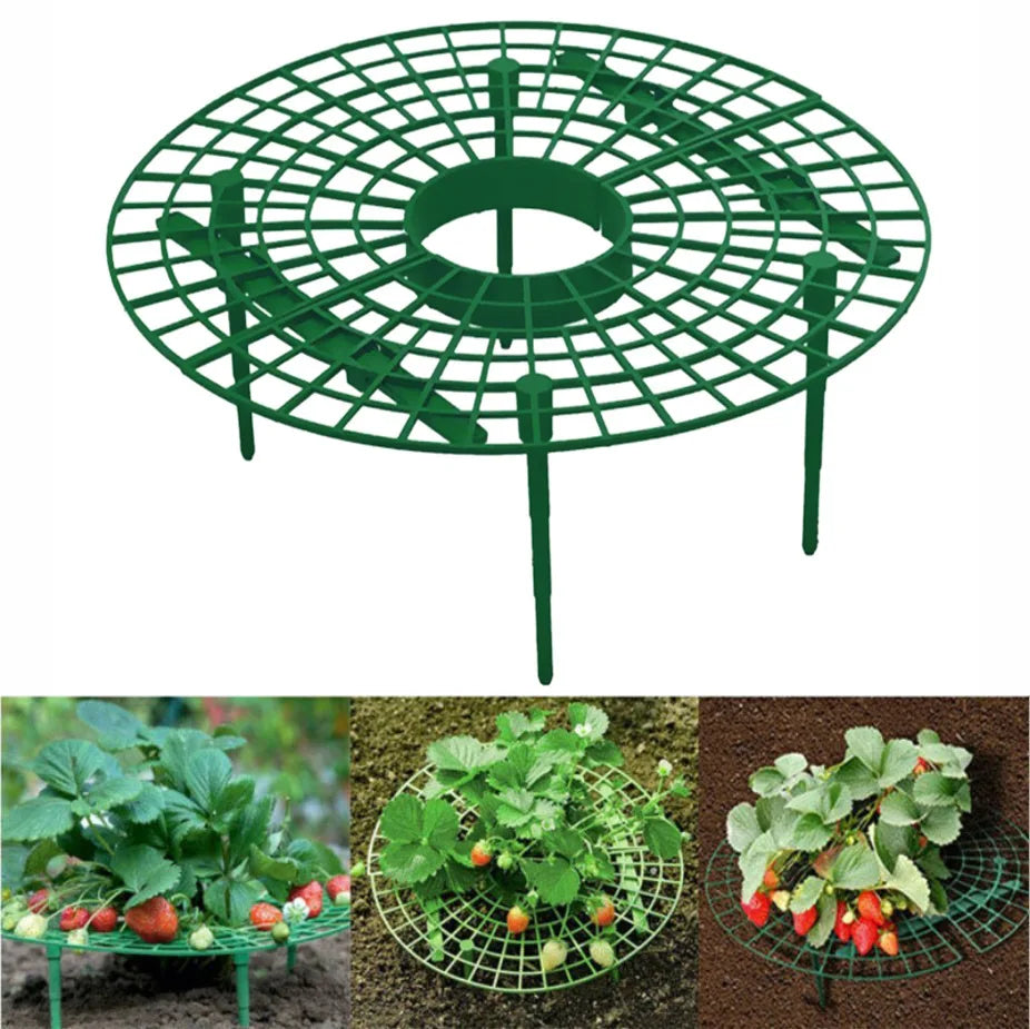 Strawberry Plant Support Frame with Fruit Protection Tray
