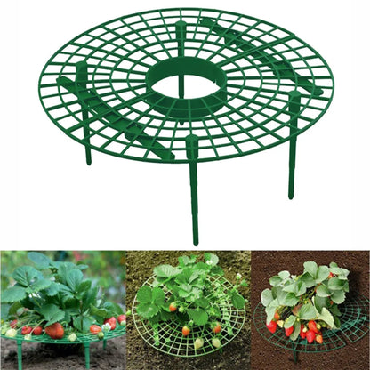 Strawberry Plant Support Frame with Fruit Protection Tray