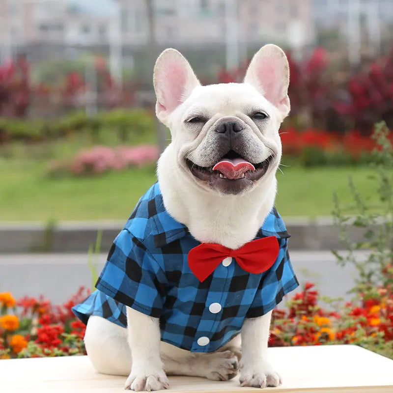 Plaid Dog Shirt with Bow Tie for Small & Medium Pets
