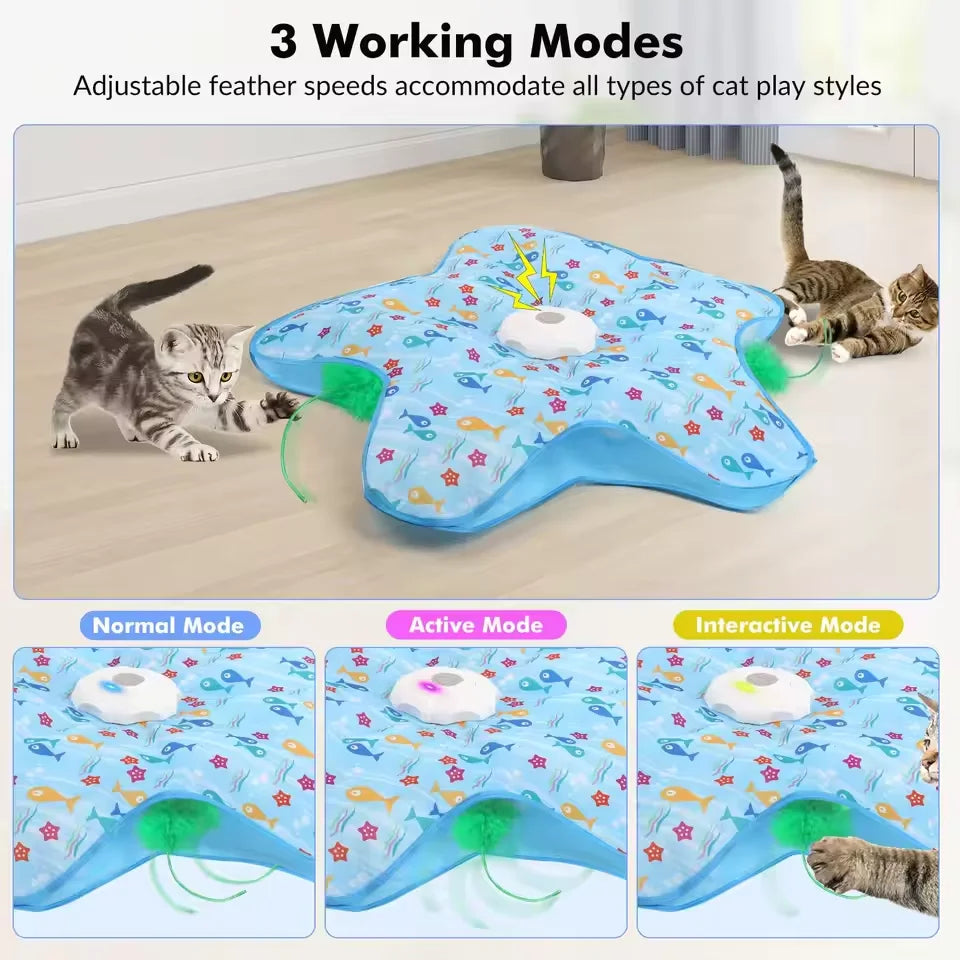 Interactive Cat Hide & Seek Toy