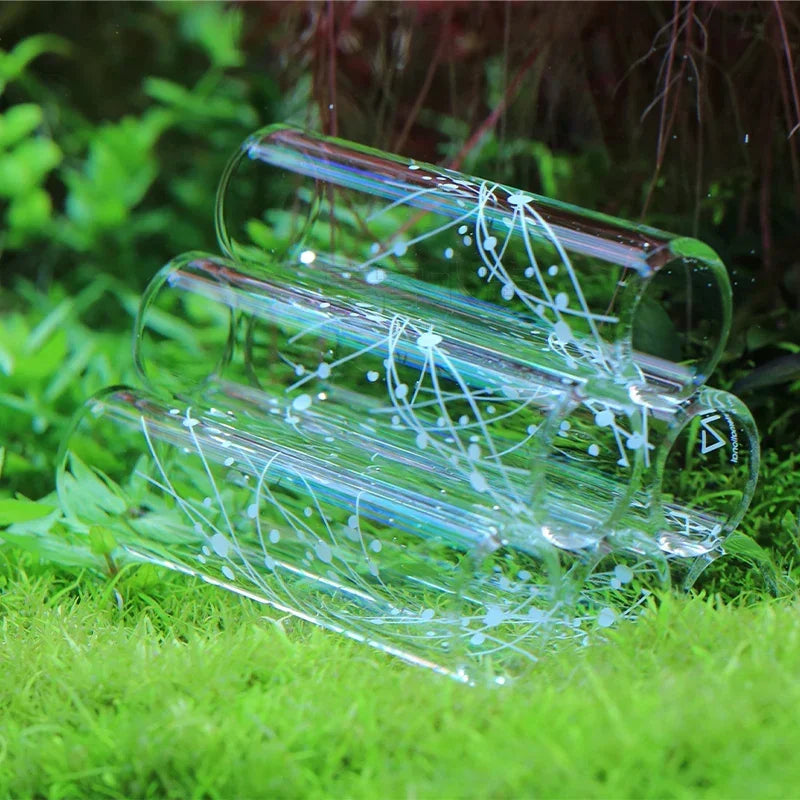 Glass Aquarium Shrimp Feeding Dish & Feeding Tube Set