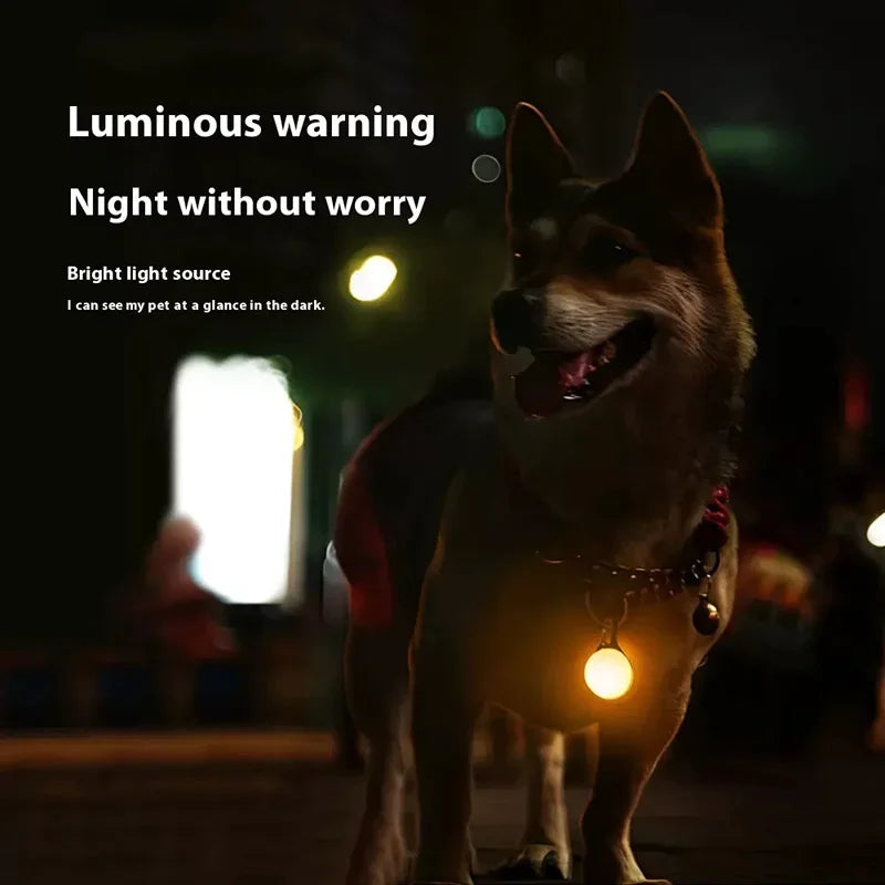 LED Luminous Pet Collar Pendant – Night Safety Light for Dogs & Cats
