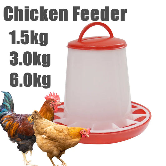 Automatic Poultry Feed Dispenser