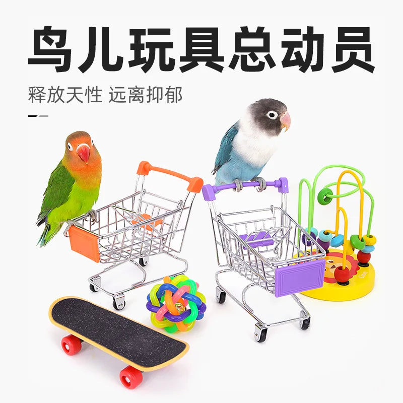 Interactive Bird Training Toy Set