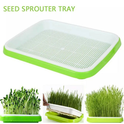 Microgreens Sprouting Tray