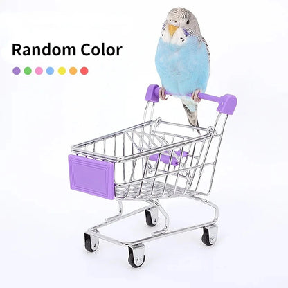 Interactive Bird Training Toy Set
