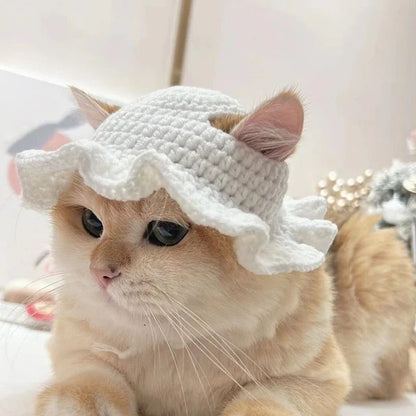 Autumn & Winter Knitted Cat Hat