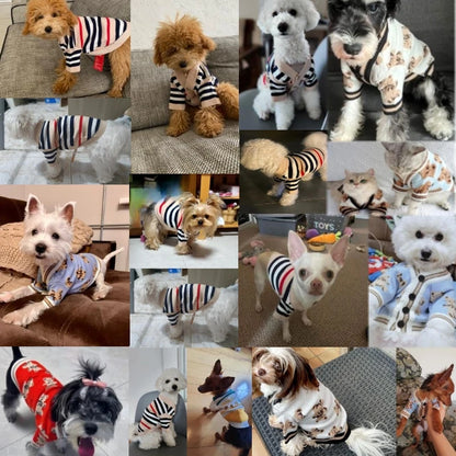 Knitted Cardigan Sweater for Small Dogs