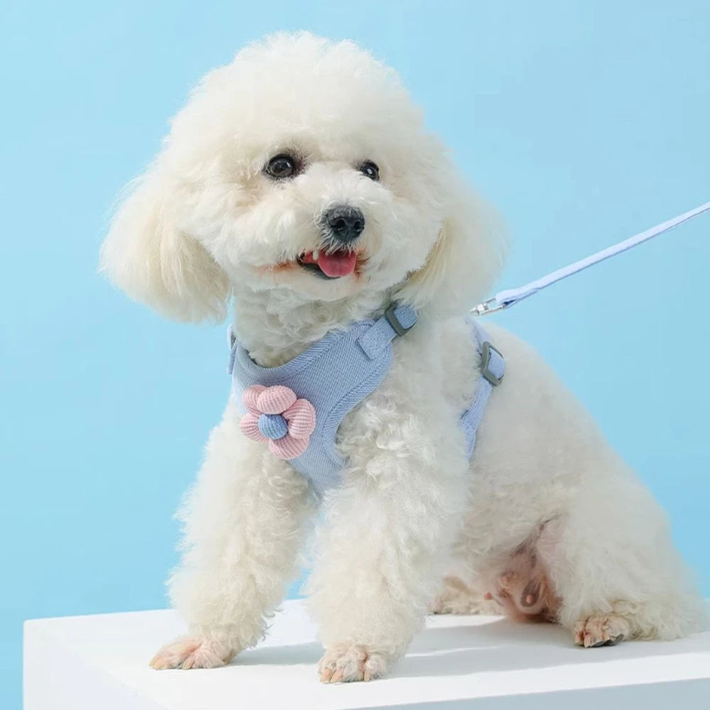 Adjustable Dog Harness with 1.5m Leash Set