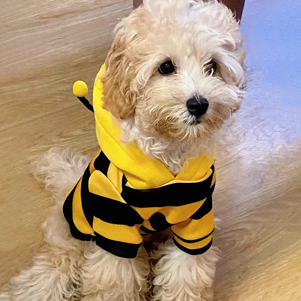 Cute Bumble Bee Dog & Cat Costume Hoodie