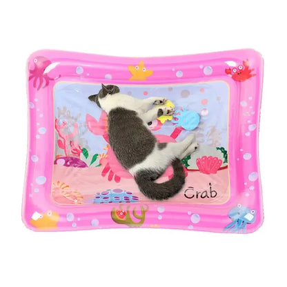Pet Water Sensory Play Mat