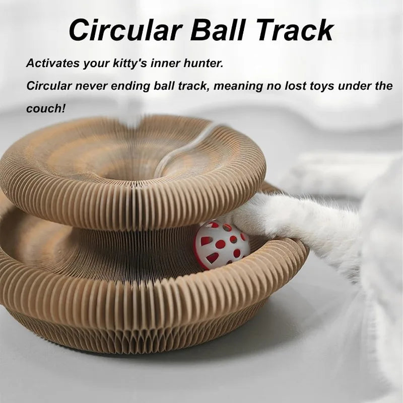 Creative Foldable Cat Scratching Board Toy